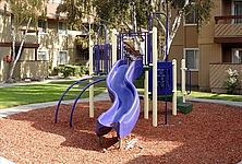 Photo26618
