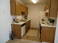 Photo35515